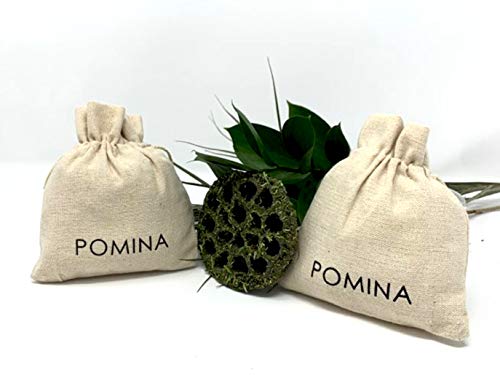 Pomina Wire Triangle with Rectangle Natural Stone Drop Earrings